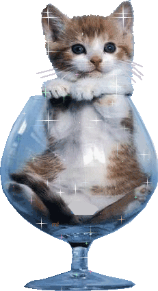 chat